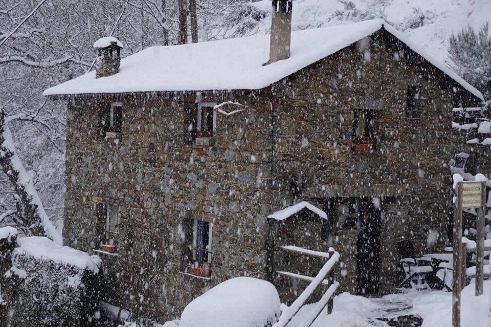 Masia Can Constans Queralbs Exterior foto
